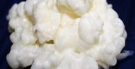 Venta de nodulos de kefir de leche